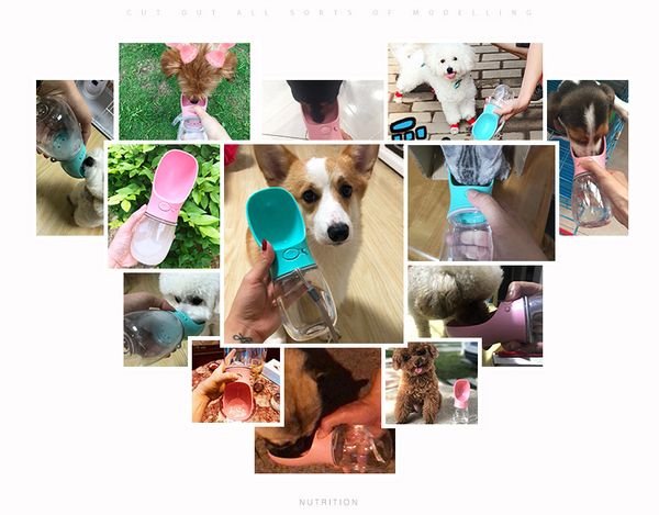 portable pet dog water bottle travel puppy cat drinking bowl outdoor pet water cup feeder for small large dog pet supplies pug
portable pet dog water bottle travel puppy cat drinking bowl outdoor pet water cup feeder for small large dog pet supplies pug