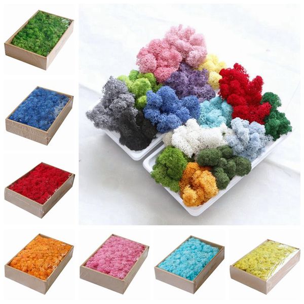 200g/lot immortal flower moss colorful natural green moss grass for diy decoration immortal flower plant never wither
200g/lot immortal flower moss colorful natural green moss grass for diy decoration immortal flower plant never wither