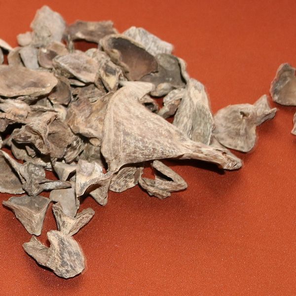 10g Genuine Natural wild Vietnam Nha Trang oud Shell raw agarwood chips sinking home aromatic aloes incense frangrant
10g Genuine Natural wild Vietnam Nha Trang oud Shell raw agarwood chips sinking home aromatic aloes incense frangrant