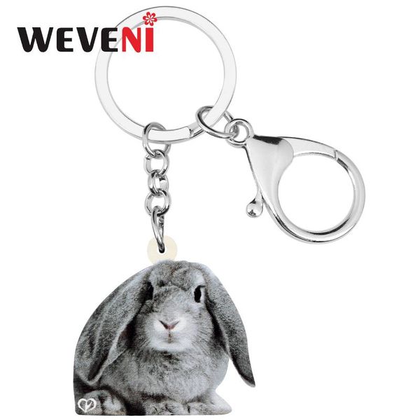 weveni акриловая гризль пасхальный заяц брелки брелок для ключей домашнее животное брелок ювелирные изделия женщины подростки автомобиль сум, Silver
weveni акриловая гризль пасхальный заяц брелки брелок для ключей домашнее животное брелок ювелирные изделия женщины подростки автомобиль сум, Silver