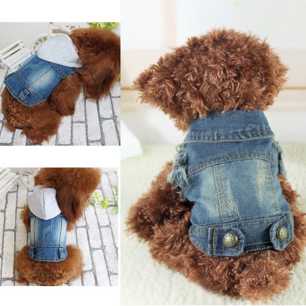 pet собака кошки мебельного свитер синего jean denim puppy куртка пальто одежда костюм одежда
pet собака кошки мебельного свитер синего jean denim puppy куртка пальто одежда костюм одежда