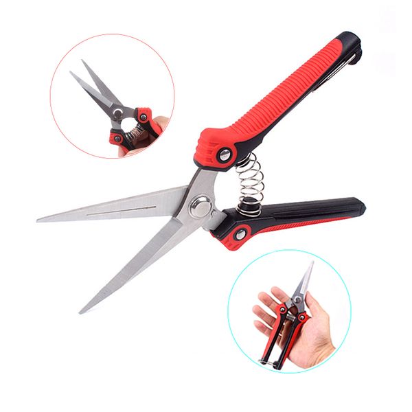 professional stainless steel pointed orchard picking fruit shears picking fruit grape pruning tools
professional stainless steel pointed orchard picking fruit shears picking fruit grape pruning tools