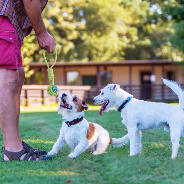 small dog puppy rope chew toys teething clean,natural cotton rope ball interactive tug of war toys for aggressive chewers
small dog puppy rope chew toys teething clean,natural cotton rope ball interactive tug of war toys for aggressive chewers