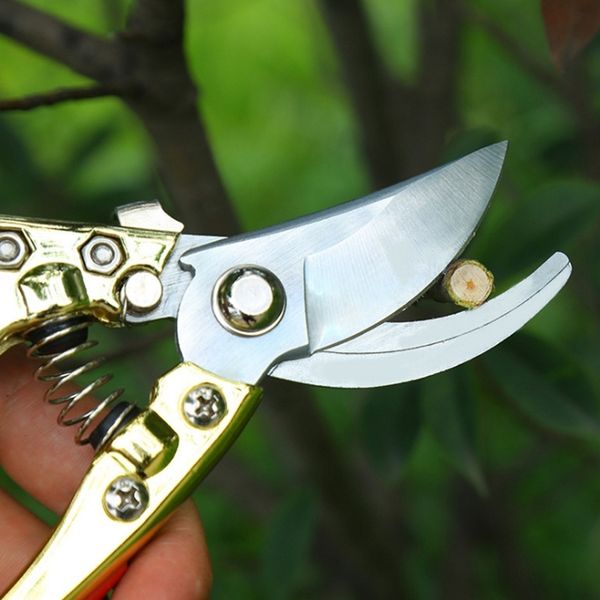 pruning shears professional sharp bypass hand pruner shears with lock tree trimmers secateurs other garden supplies
pruning shears professional sharp bypass hand pruner shears with lock tree trimmers secateurs other garden supplies
