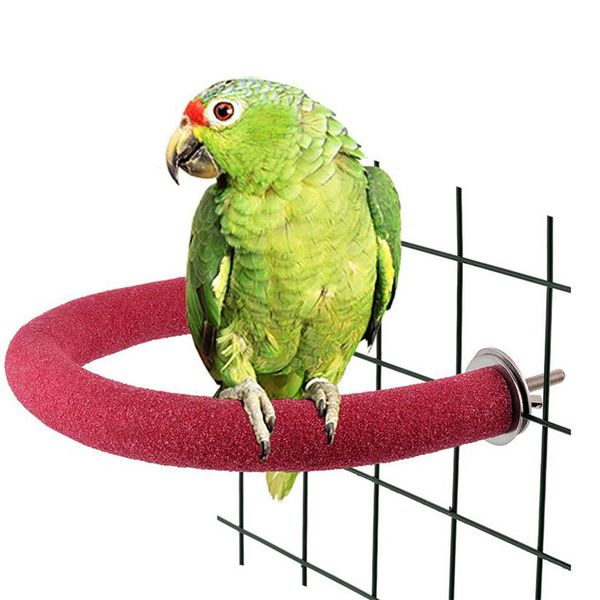 aapet 1pc frosted fixable bird parrot stand rack parakeet hamster perch toy for pet bird parrot birdcage decoration accessories
aapet 1pc frosted fixable bird parrot stand rack parakeet hamster perch toy for pet bird parrot birdcage decoration accessories