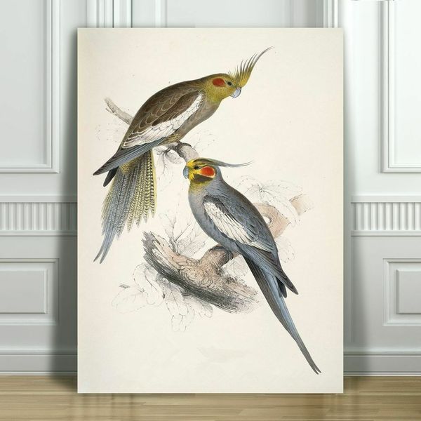 edward lear cockatiels bird parrot home wall art decor handpainted &hd print oil painting on canvas wall art canvas pictures 190827
edward lear cockatiels bird parrot home wall art decor handpainted &hd print oil painting on canvas wall art canvas pictures 190827