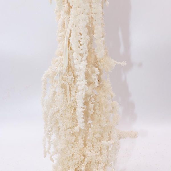 3pcs 60-90cm branch plants white amaranthus artificial flower with leaves for wedding home diy decoration
3pcs 60-90cm branch plants white amaranthus artificial flower with leaves for wedding home diy decoration