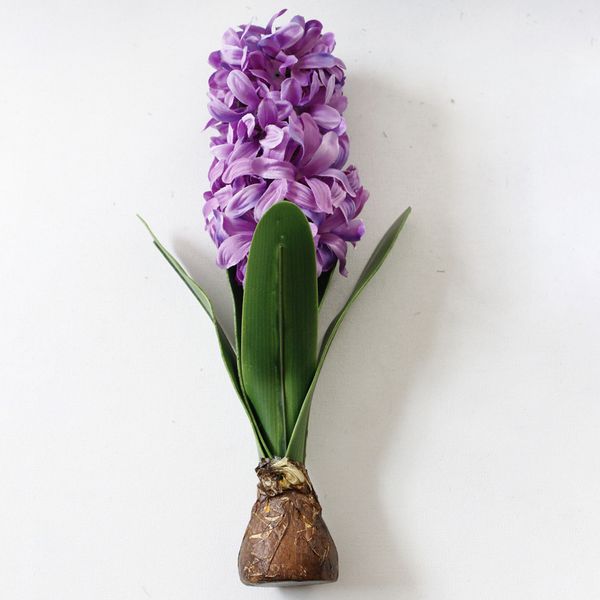 beautiful wedding hyacinth garden diy with bulbs artificial flower party potted decorative bonsai home decor office simulation
beautiful wedding hyacinth garden diy with bulbs artificial flower party potted decorative bonsai home decor office simulation