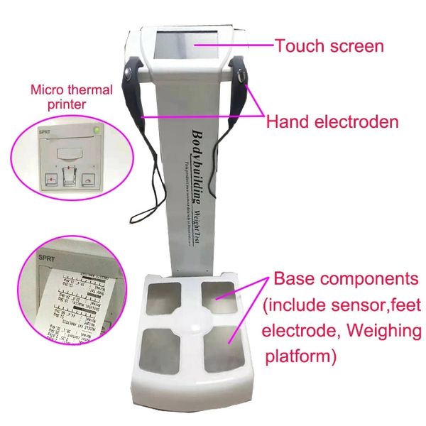professional body fat analyzer body composition analyzer selling body element analyzer machine/ce ing
professional body fat analyzer body composition analyzer selling body element analyzer machine/ce ing