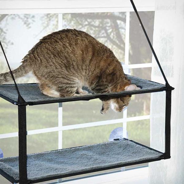 cat hammock can disassembly and washing super sucker cat mat windowsill sleeping bed pet products for
cat hammock can disassembly and washing super sucker cat mat windowsill sleeping bed pet products for