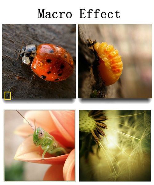 phone camera lens 180 fish eye wide macro with case cover for samsung galaxy s8 plus s6 edge s5 note 3 in 1 mini es kit
phone camera lens 180 fish eye wide macro with case cover for samsung galaxy s8 plus s6 edge s5 note 3 in 1 mini es kit