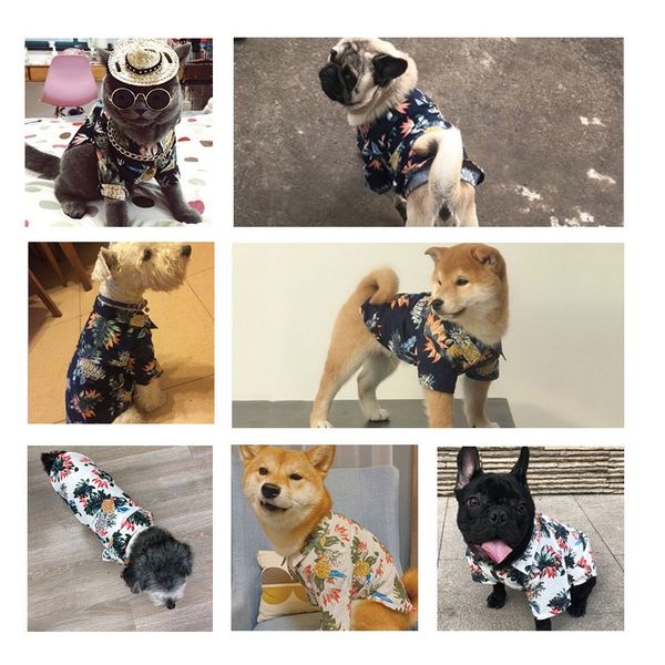 pet весна лето одежда для собак cotton printed t-shirt pet puppy одежда мопс йоркширский для собак костюм чихуахуа cat одежда собак одежда
pet весна лето одежда для собак cotton printed t-shirt pet puppy одежда мопс йоркширский для собак костюм чихуахуа cat одежда собак одежда
