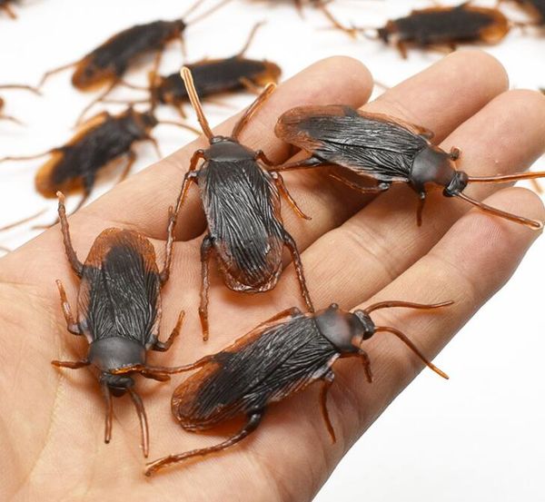 10pcslot game funny gadgets 4cm soft pvc plastic cockroach halloween replica practical jokes toys shaper trinmmer shirts supplies
10pcslot game funny gadgets 4cm soft pvc plastic cockroach halloween replica practical jokes toys shaper trinmmer shirts supplies