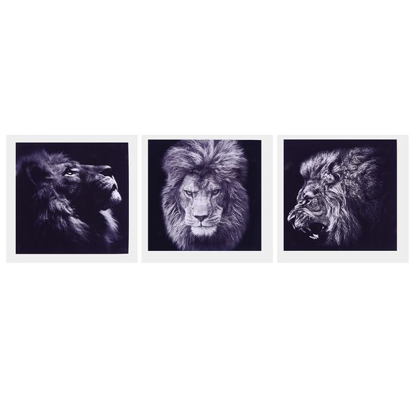 3 panel canvas oil painting art picture - lion