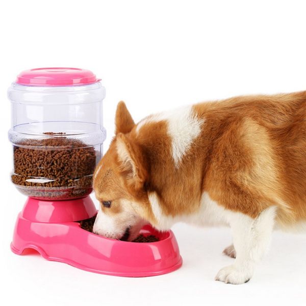 pet automatic feeders water dispenser for small medium large dogs pet dog supplies pet accessories
pet automatic feeders water dispenser for small medium large dogs pet dog supplies pet accessories