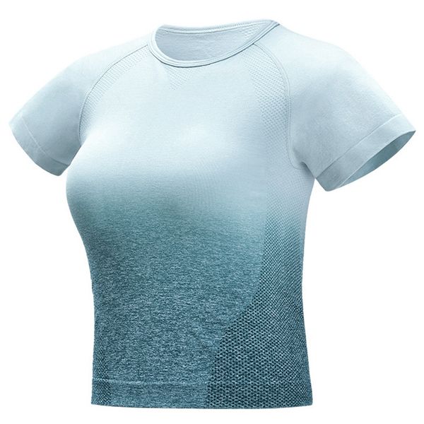 yoga seamless yoga shirts short sleeve crop women sport shirt women sports gym seamless gym tshirt, White;red
yoga seamless yoga shirts short sleeve crop women sport shirt women sports gym seamless gym tshirt, White;red