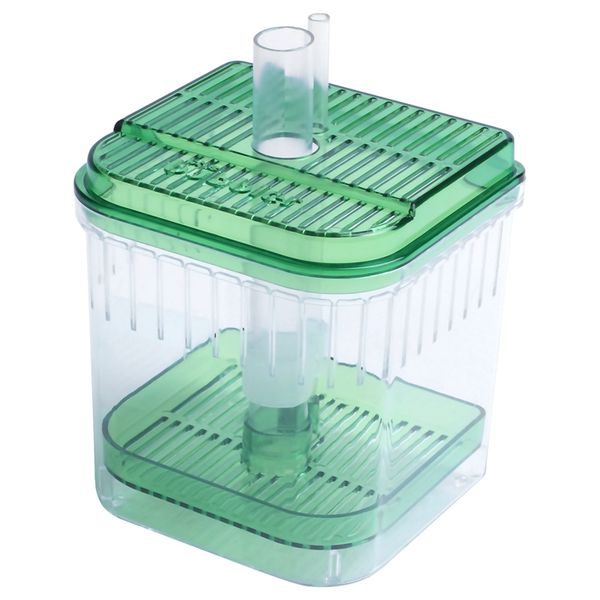 plastic square fish tank aquarium filter bottom box transparent green other aquarium fish
plastic square fish tank aquarium filter bottom box transparent green other aquarium fish