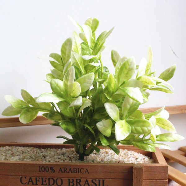 fake plant artificial plants simulation 1pcs green grass decorate flowers for wedding home garden plastic plant artificial grass
fake plant artificial plants simulation 1pcs green grass decorate flowers for wedding home garden plastic plant artificial grass