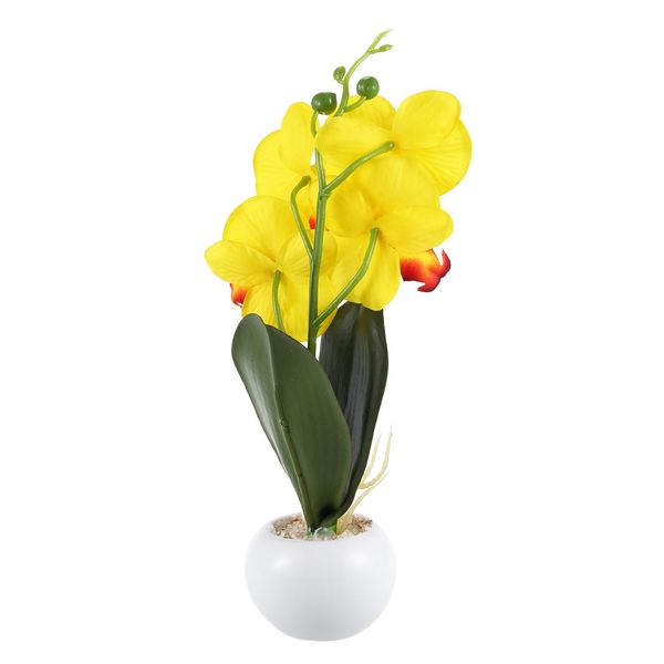 jeyl four orchidee butterfly fleshy bonsai flower creative accessories organization (yellow) other festive party supplies
jeyl four orchidee butterfly fleshy bonsai flower creative accessories organization (yellow) other festive party supplies
