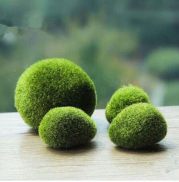 decorative flowers & wreaths artificial green moss ball fake stone simulation plant diy decoration for shop window el home office wall decor
decorative flowers & wreaths artificial green moss ball fake stone simulation plant diy decoration for shop window el home office wall decor