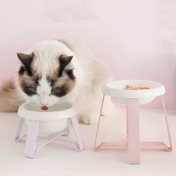 dog cat bowls pet supplies dog bowl cat food feeding feeder food and water dish bowl other cat supplies