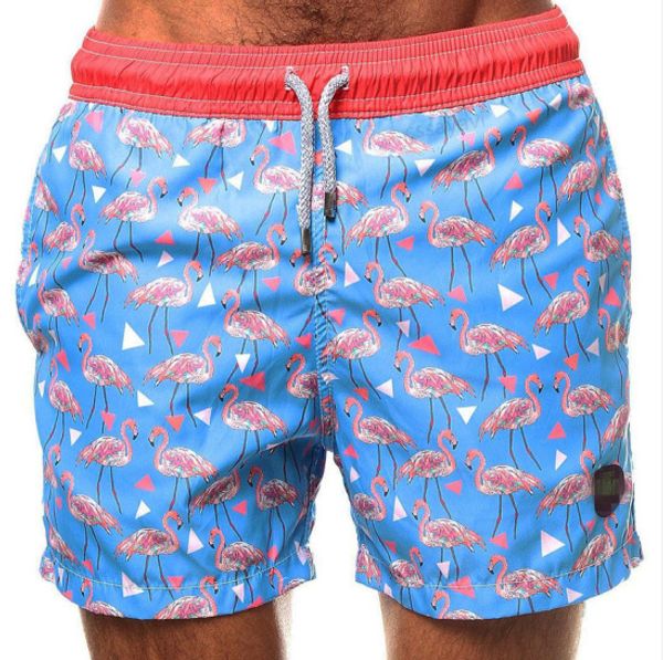 flamingo printed taddlee swimwear men shorts loose swim trunks beach trousers new men's swimming trunks for swimming
flamingo printed taddlee swimwear men shorts loose swim trunks beach trousers new men's swimming trunks for swimming