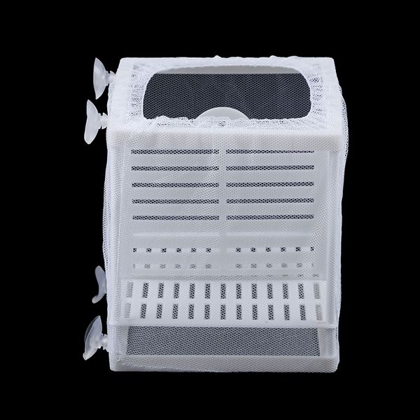 1 set 16.5x 14.5x 15cm fish breeding incubator net hanging fish hatchery isolation box for aquarium accessory other aquarium fish
1 set 16.5x 14.5x 15cm fish breeding incubator net hanging fish hatchery isolation box for aquarium accessory other aquarium fish