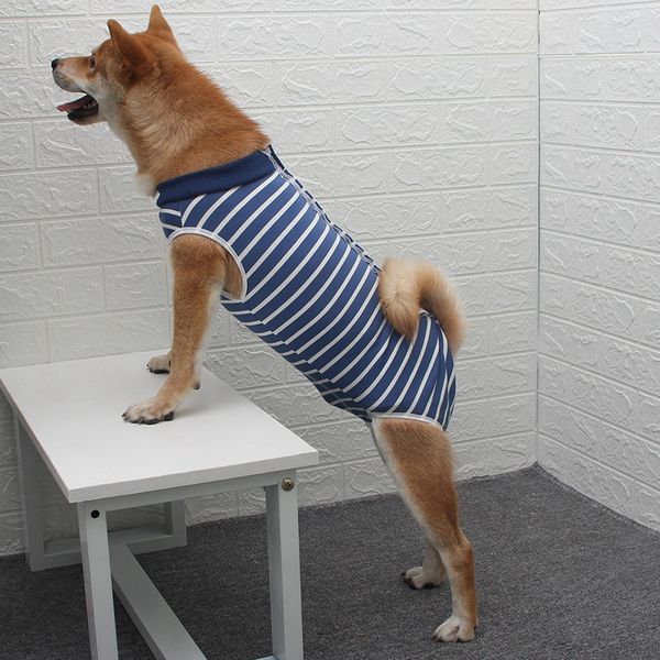 dog recovery suit puppy medical care suit clothing and after surgery wear anti licking wounds help post operative healing
dog recovery suit puppy medical care suit clothing and after surgery wear anti licking wounds help post operative healing