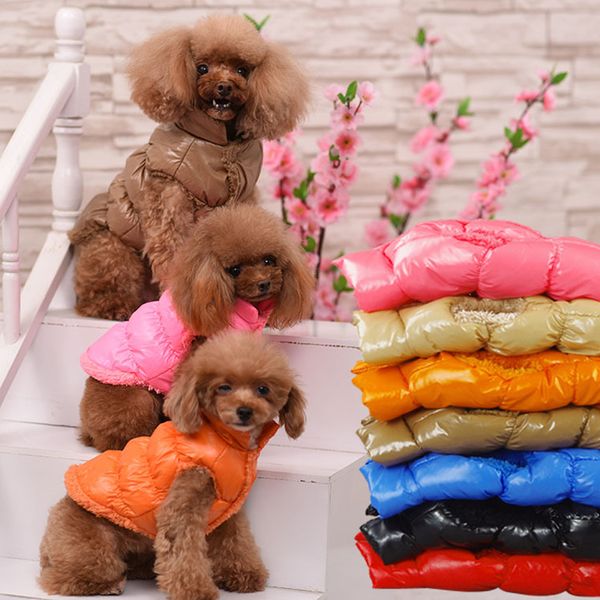winter cat clothes warm big cat coat puppy clothing waterproof pet vest jacket for small medium large dogs golden retriever
winter cat clothes warm big cat coat puppy clothing waterproof pet vest jacket for small medium large dogs golden retriever