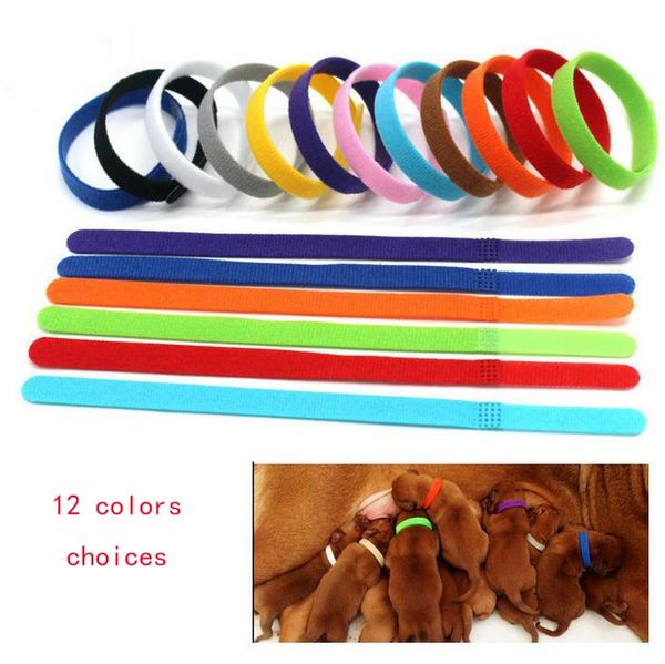 hoomall 12pcs puppy id identification collars kitten necklace deocr puppy collars adjustable soft nylon small pet dog
hoomall 12pcs puppy id identification collars kitten necklace deocr puppy collars adjustable soft nylon small pet dog