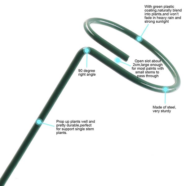 1pcs support rack ring metal strong iron stake flower branch plant stem agriculture keep flower growth improve stability
1pcs support rack ring metal strong iron stake flower branch plant stem agriculture keep flower growth improve stability