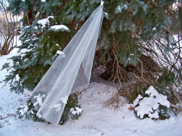fashional one-tier white ivory red champagne black purple pink custom mantilla wedding veil popular cut edge fingertip length bridal veil
fashional one-tier white ivory red champagne black purple pink custom mantilla wedding veil popular cut edge fingertip length bridal veil