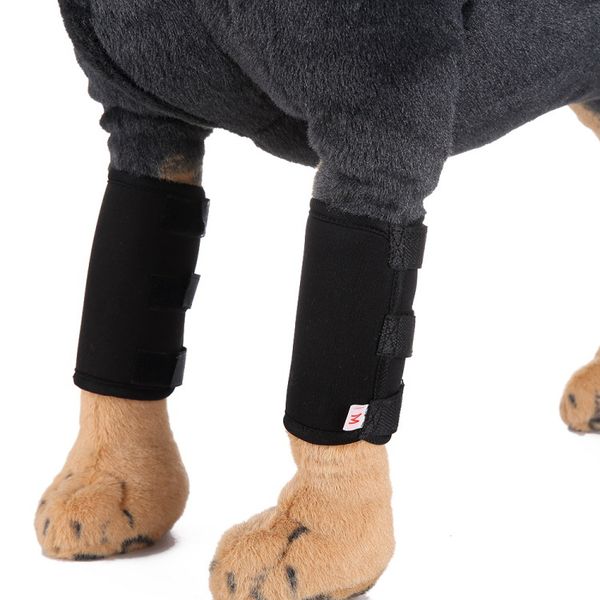 2pcs pet elbow protector dog's recover hind legs support brace knee pads dog protecting surgery wound wrap protects
2pcs pet elbow protector dog's recover hind legs support brace knee pads dog protecting surgery wound wrap protects