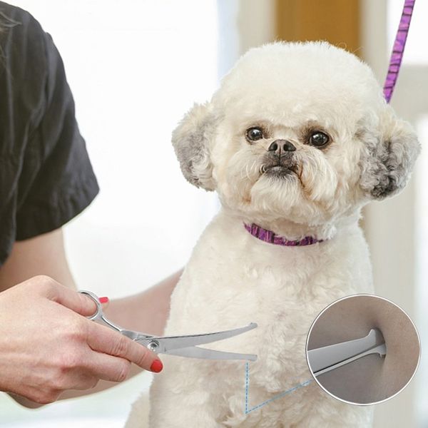 dog pet scissors safe round head set of five flat scissors teeth shear warping shear direct row comb trim hair cut cat pet supp
dog pet scissors safe round head set of five flat scissors teeth shear warping shear direct row comb trim hair cut cat pet supp