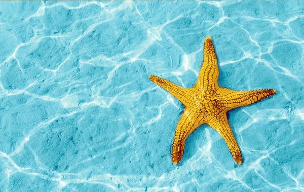 пвх самоклеящиеся водонепроницаемый 3d фрески пола морская вода звезды рябь 3dфото обои бумаги наклейки ванная комната кухня home decor pape
пвх самоклеящиеся водонепроницаемый 3d фрески пола морская вода звезды рябь 3dфото обои бумаги наклейки ванная комната кухня home decor pape