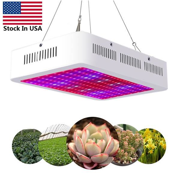 us stock led grow light 2000w updated version full spectrum led growing lamp for hydroponic indoor plants veg and flower
us stock led grow light 2000w updated version full spectrum led growing lamp for hydroponic indoor plants veg and flower