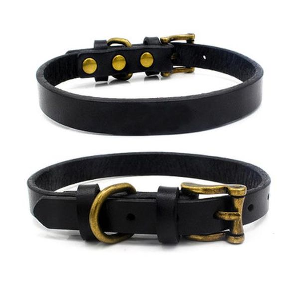 bdegarden flat chain collars dog training khaki light koiran kaulapanta puppy litter collars dog accessories flat chain
bdegarden flat chain collars dog training khaki light koiran kaulapanta puppy litter collars dog accessories flat chain