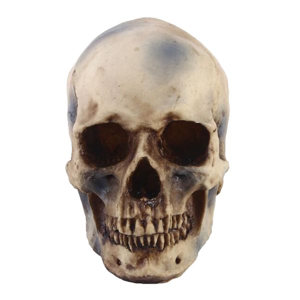 1 pcs resin skull statue skeleton head collectible decoration
1 pcs resin skull statue skeleton head collectible decoration