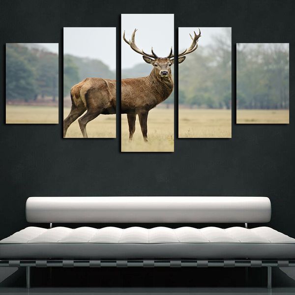 giclee canvas art print artwork 5 panels animal deer picture printed on canvas oil painting wall art for home office wall decor
giclee canvas art print artwork 5 panels animal deer picture printed on canvas oil painting wall art for home office wall decor