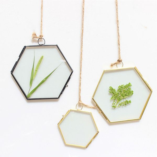 copper edge hanging hexagon metal glass plant specimen double sided glass frame decor frame diy art picture p
copper edge hanging hexagon metal glass plant specimen double sided glass frame decor frame diy art picture p