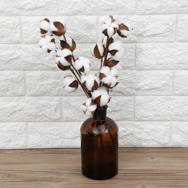3pcs 10 bolls naturally dried cotton flower artificial plants floral branch wedding party christmas flower cotton home decor
3pcs 10 bolls naturally dried cotton flower artificial plants floral branch wedding party christmas flower cotton home decor
