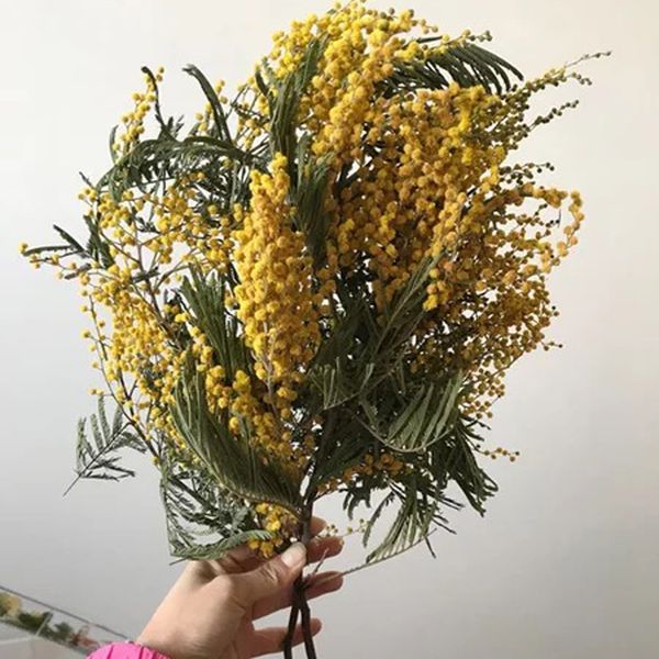preserved fresh flowers 90g/35cm,diy eternelle floral,wedding favor home decor.valentines day gift preserved dried flowers
preserved fresh flowers 90g/35cm,diy eternelle floral,wedding favor home decor.valentines day gift preserved dried flowers