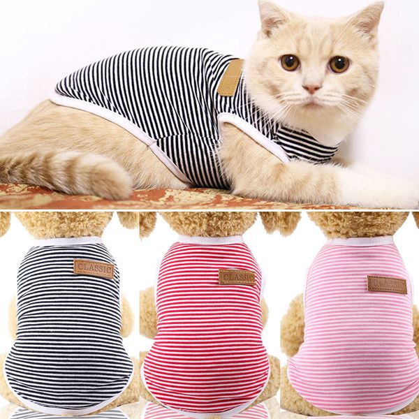 spring/summer pet cat clothes cat clothes for kitty kitten cotton striped vest t-shirt fashion cats outfits pets coats clothing
spring/summer pet cat clothes cat clothes for kitty kitten cotton striped vest t-shirt fashion cats outfits pets coats clothing