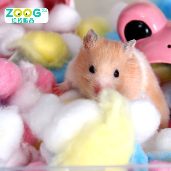 hamster pass the winter colour powder blue yellow absorbent keep warm articles gold wire xiong paper cotton 100 grain
hamster pass the winter colour powder blue yellow absorbent keep warm articles gold wire xiong paper cotton 100 grain