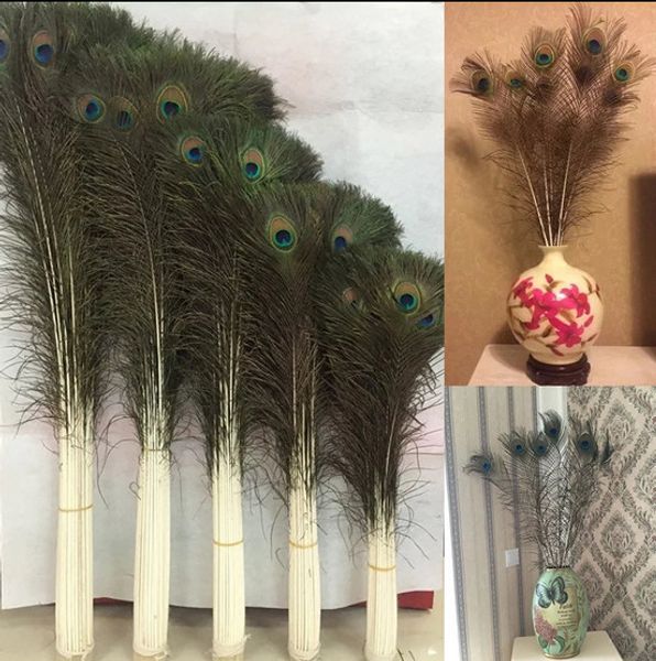 wholesale 100pcs beautiful natural real peacock tail eyes feathers full size 25-100cm / 10-40inches
wholesale 100pcs beautiful natural real peacock tail eyes feathers full size 25-100cm / 10-40inches
