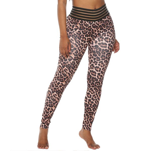 sexy leopard женщины легинсы push up workout леггинсы femme высокой талией leopard поножи эластичная спортивная одежда легинсы, White;red
sexy leopard женщины легинсы push up workout леггинсы femme высокой талией leopard поножи эластичная спортивная одежда легинсы, White;red