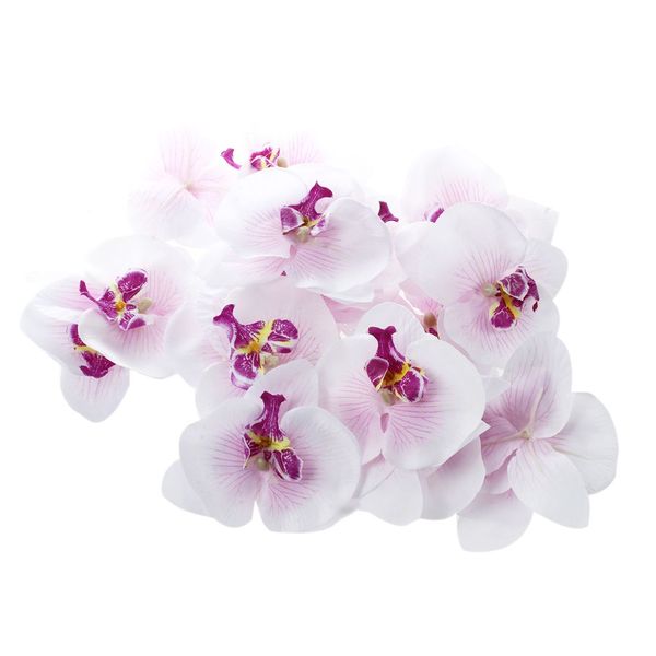 lot of 20pcs 9cm butterfly orchid flower artificial flower head decor for wedding barrette accessory pet supplies
lot of 20pcs 9cm butterfly orchid flower artificial flower head decor for wedding barrette accessory pet supplies