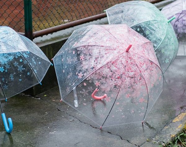 outdoor transparent umbrella clearance wedding decoration dome shape long-handle automatic pink cherry flower umbrella dhl
outdoor transparent umbrella clearance wedding decoration dome shape long-handle automatic pink cherry flower umbrella dhl