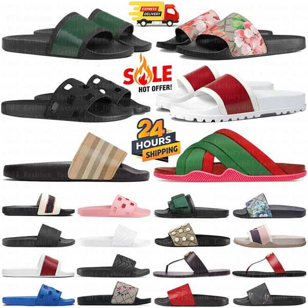 Slides Designer San…