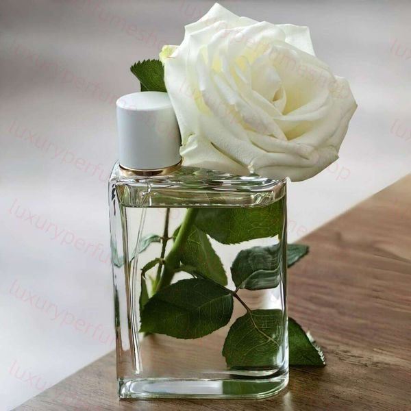 Aaaaa Designer Perf…